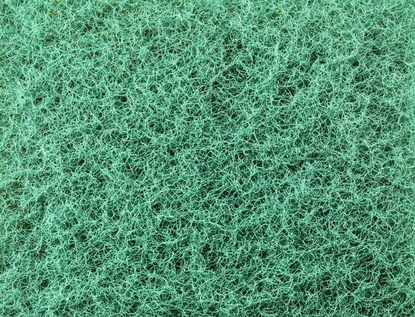海绵 — 图库照片