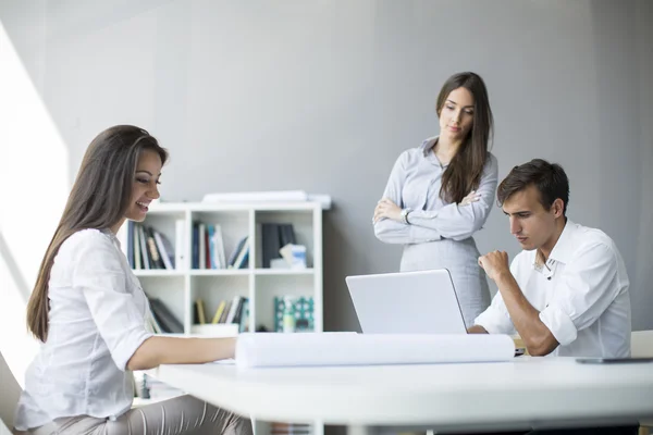 Young people in the office — Stock Photo, Image