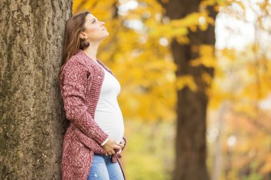 Sonbahar parkta genç hamile kadın