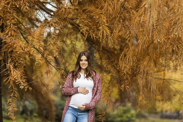 Jeune femme enceinte dans le parc d'automne — Photo