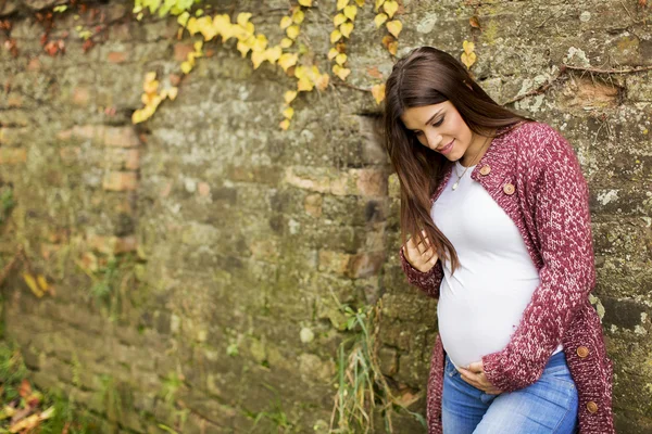 Young pregnant woman in the autumn park — Stock Photo, Image