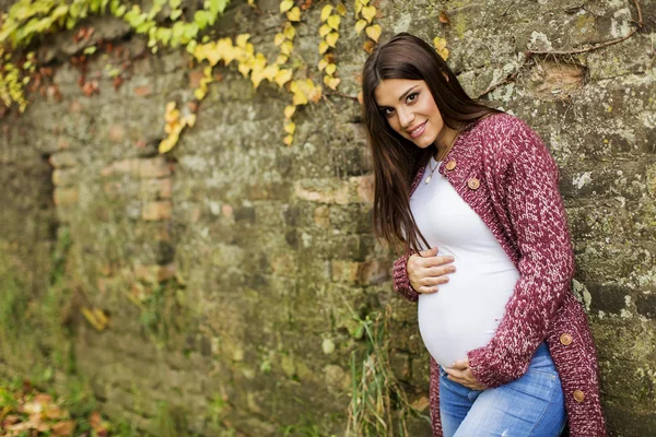 Young pregnant woman in the autumn park — Stock Photo, Image