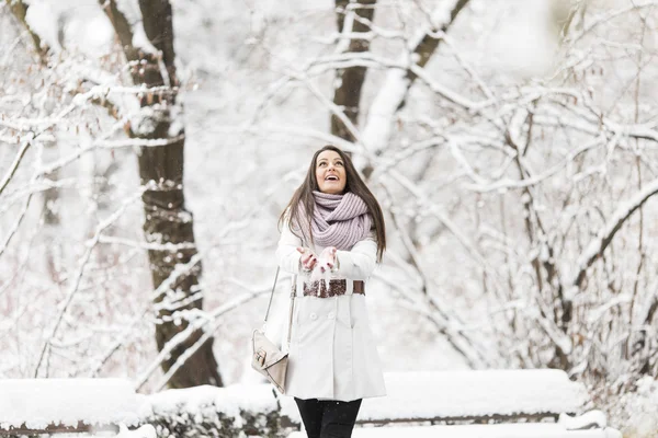 Jovem mulher no inverno — Fotografia de Stock