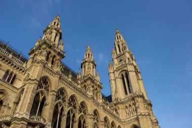 Viyana Belediye Binası