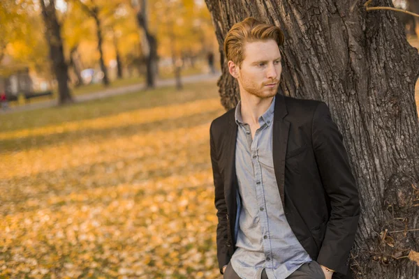 Young man in the autumn park — Stock Photo, Image