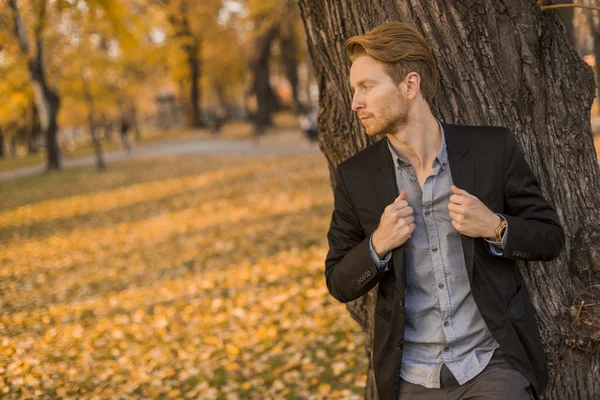 Young man in the autumn park — Stock Photo, Image