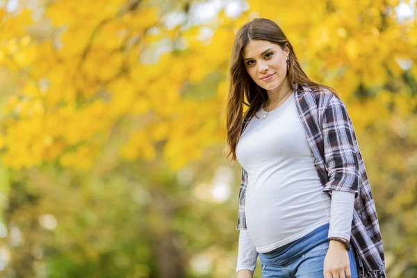 Mujer embarazada joven en el parque de otoño — Foto de Stock