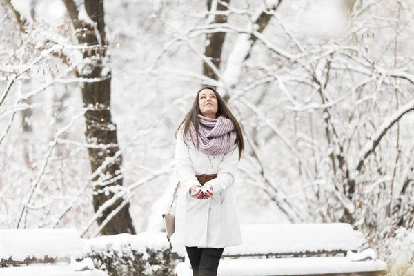 Jovem mulher no inverno — Fotografia de Stock