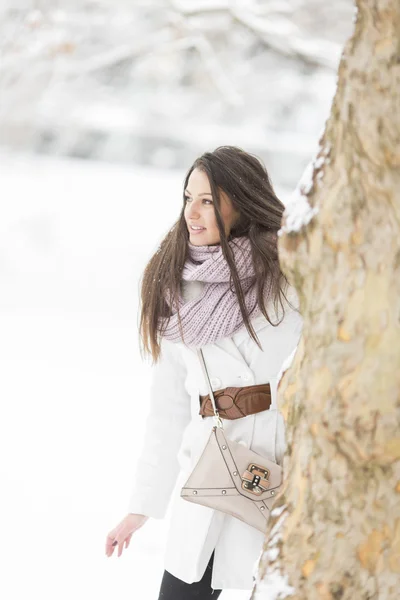 Young woman at winter — Stock Photo, Image