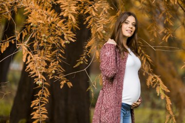 Sonbahar parkta genç hamile kadın