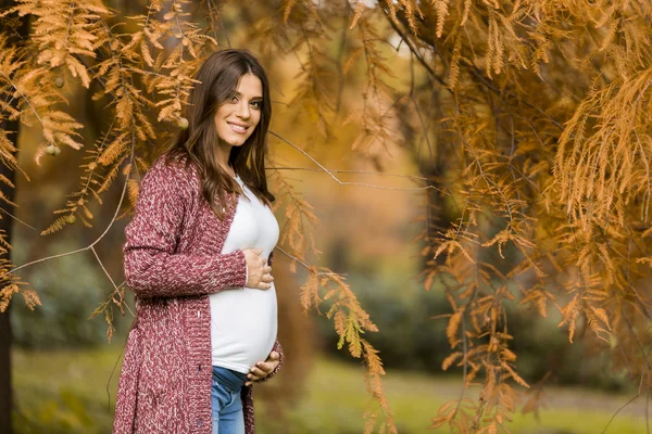 Jeune femme enceinte dans le parc d'automne — Photo