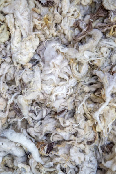 Raw wool on the market — Stock Photo, Image