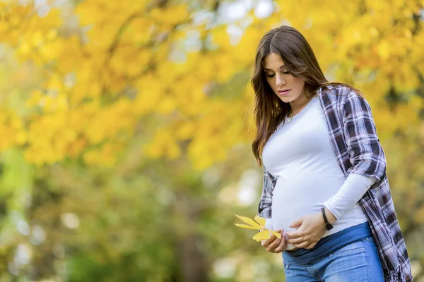 Mujer embarazada joven en el parque de otoño — Foto de Stock