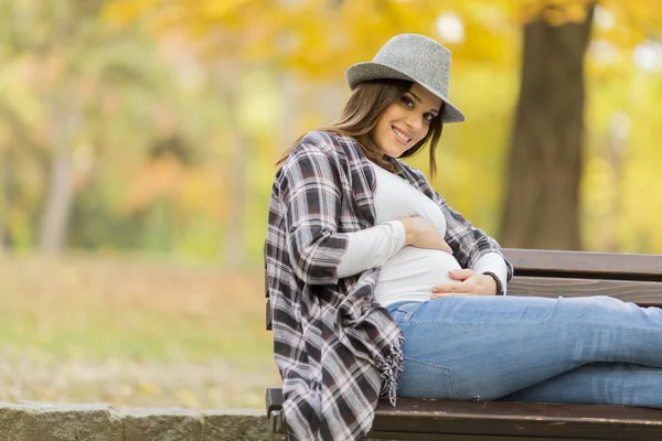 年轻孕妇在秋天的公园 — 图库照片