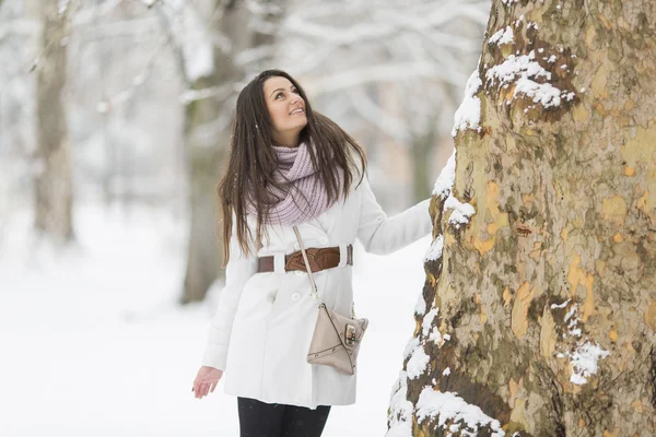 Kış adlı genç bir kadın — Stok fotoğraf