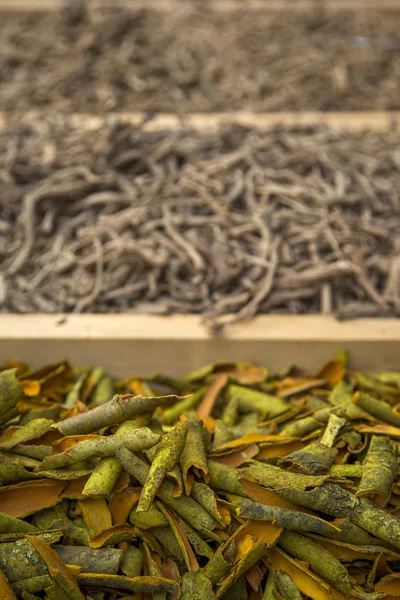 Plantes sèches sur le marché — Photo