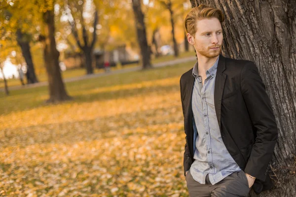 Young man in the autumn park — Stock Photo, Image