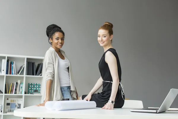 Young women in the office — Stock Photo, Image