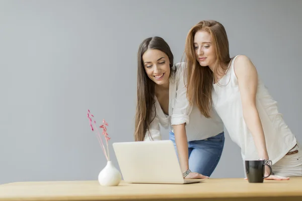 Mujeres jóvenes en la oficina —  Fotos de Stock