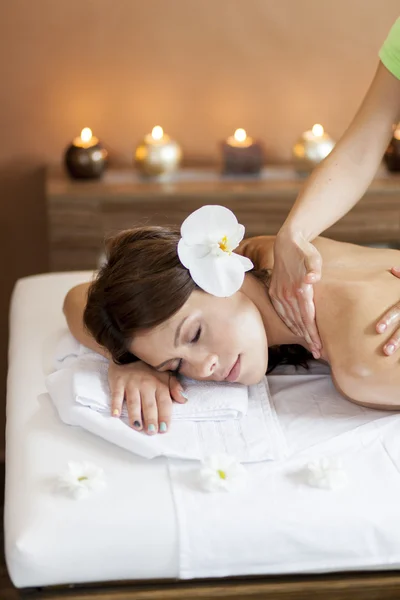 Massage — Stock Photo, Image