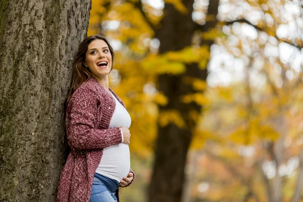 Giovane donna incinta nel parco autunnale — Foto Stock