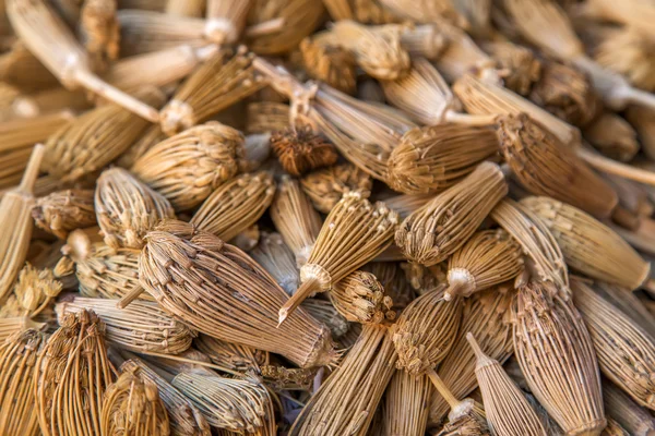 Berber toothpicks — Stock Photo, Image