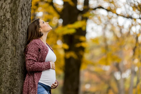 Mujer embarazada joven en el parque de otoño — Foto de Stock