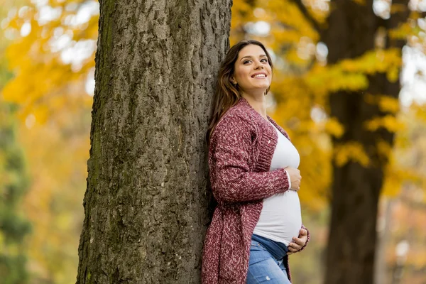 秋の公園で若い妊婦 — ストック写真