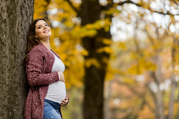 Giovane donna incinta nel parco autunnale — Foto Stock