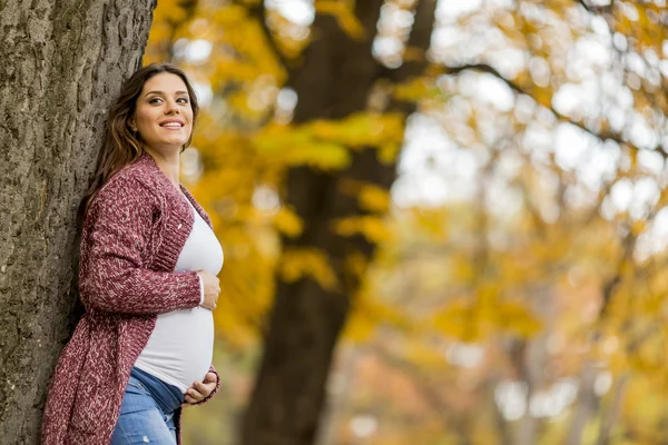 Young pregnant woman in the autumn park — Stock Photo, Image