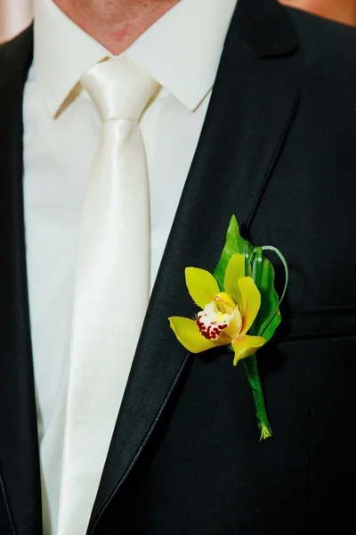 Groom suite — Stock Photo, Image