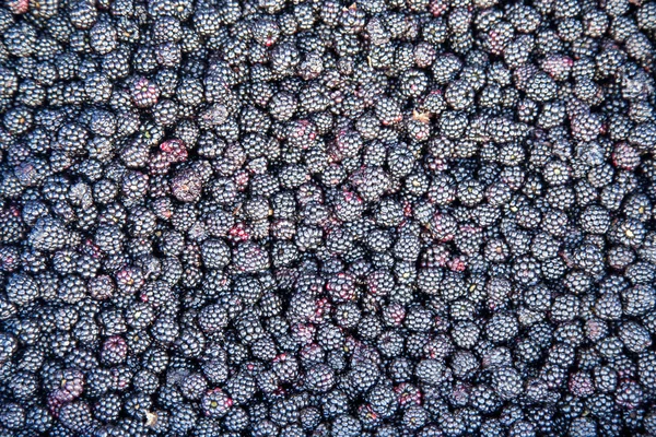 Amoras silvestres no mercado — Fotografia de Stock