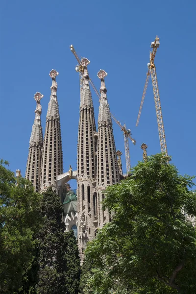 Kościół Sagrada Familia w Barcelonie — Zdjęcie stockowe