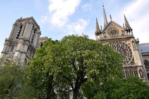 Notre dame in paris, Frankreich — Stockfoto