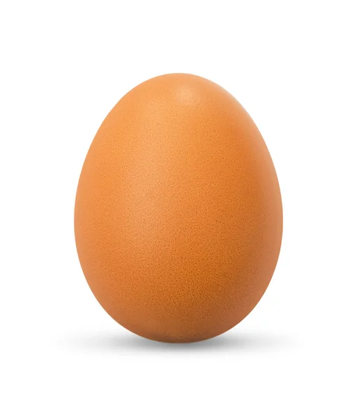 Το αυγό — Φωτογραφία Αρχείου