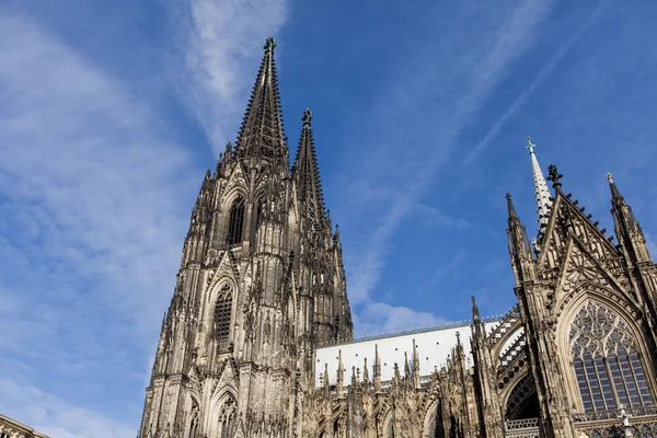 Köln Katedrali — Stok fotoğraf