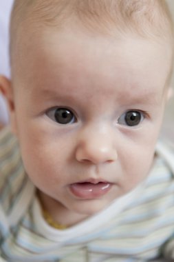 Erkek Bebek