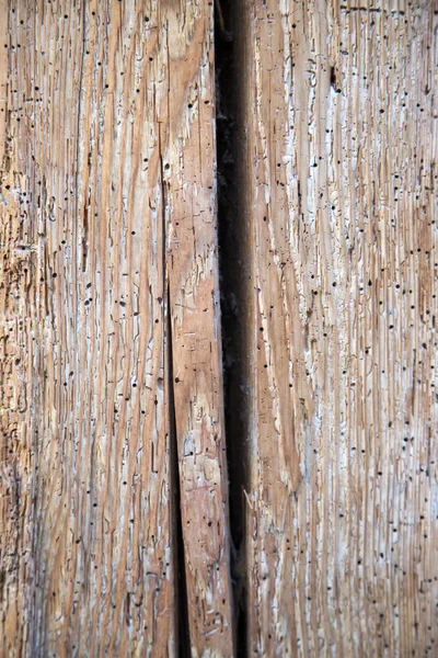 Wooden texture — Stock Photo, Image