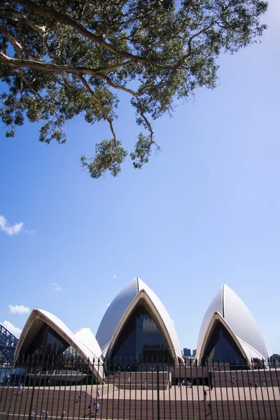 Sidney opera house — Stock Photo, Image