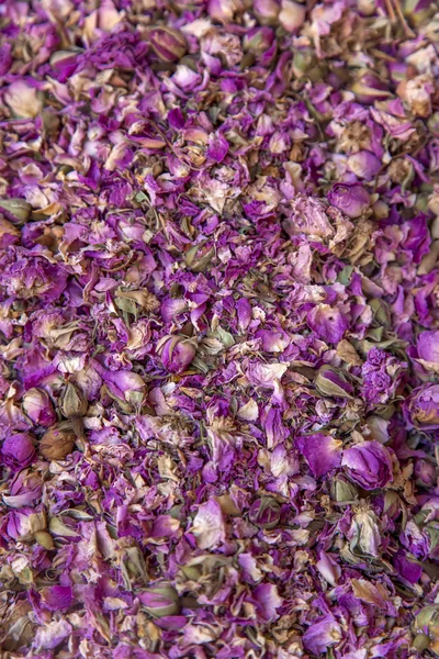 Dry rose buds — Stock Photo, Image