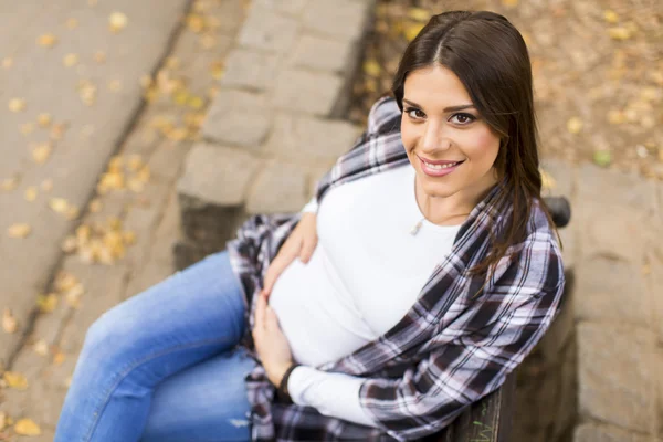 Young pregnant woman in the autumn park — Stock Photo, Image