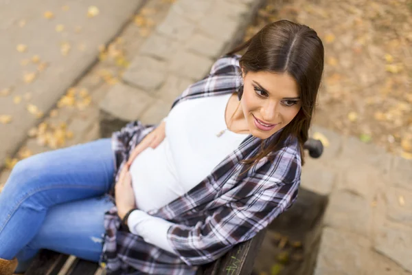 Młoda kobieta w ciąży w parku jesień — Zdjęcie stockowe