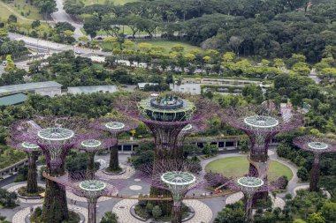 Singapur Körfezi 'ndeki Gardens' taki Supertree Grove.