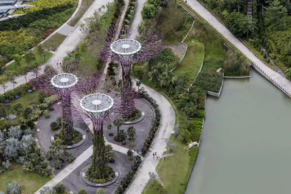 Supertree Grove em Jardins perto da Baía em Singapura — Fotografia de Stock