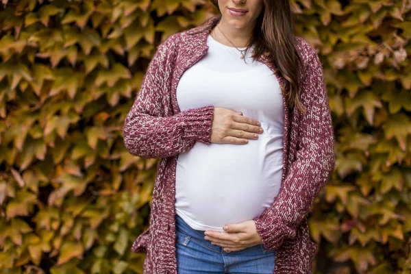 Młoda kobieta w ciąży w parku jesień — Zdjęcie stockowe