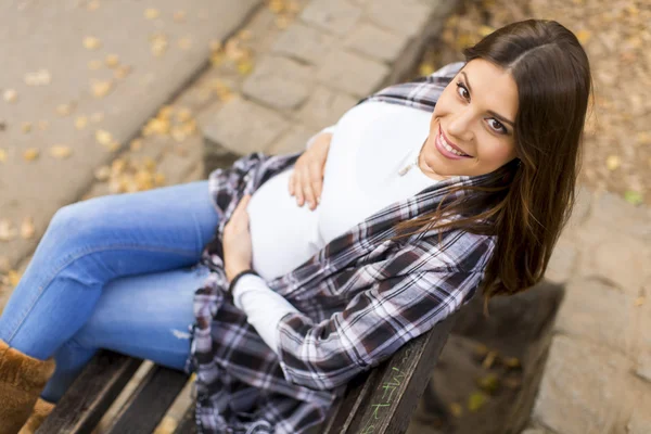 Young pregnant woman in the autumn park — Stock Photo, Image