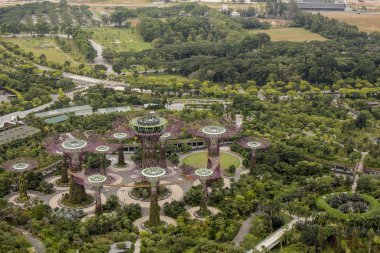 Singapur Körfezi 'ndeki Bahçeler