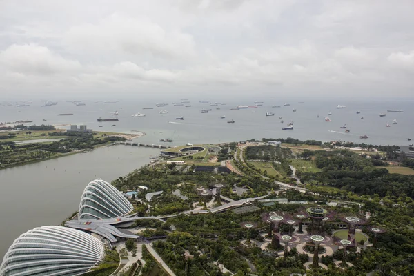 Ogrody nad zatoką w Singapurze — Zdjęcie stockowe
