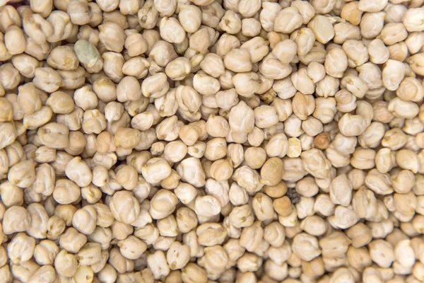 Chickpea on market in Morocco — Stock Photo, Image