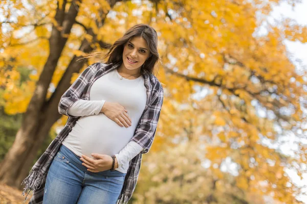 Mujer embarazada joven en el parque de otoño —  Fotos de Stock